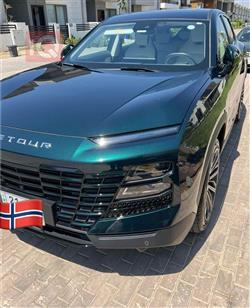 جیتۆر داشينگ
